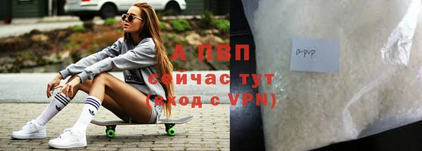 стаф Алексин