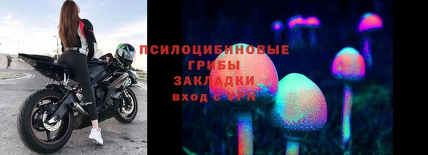 винт Алзамай