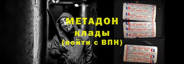 стаф Алексин