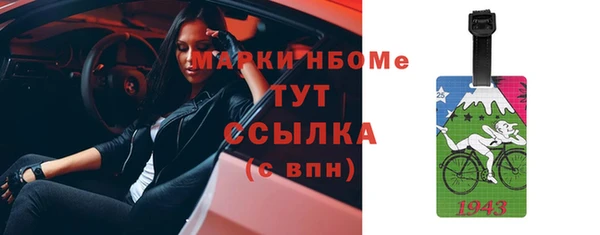 винт Алзамай