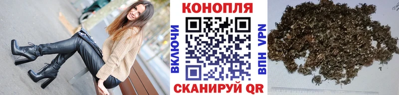 Бошки марихуана Bruce Banner Черноголовка
